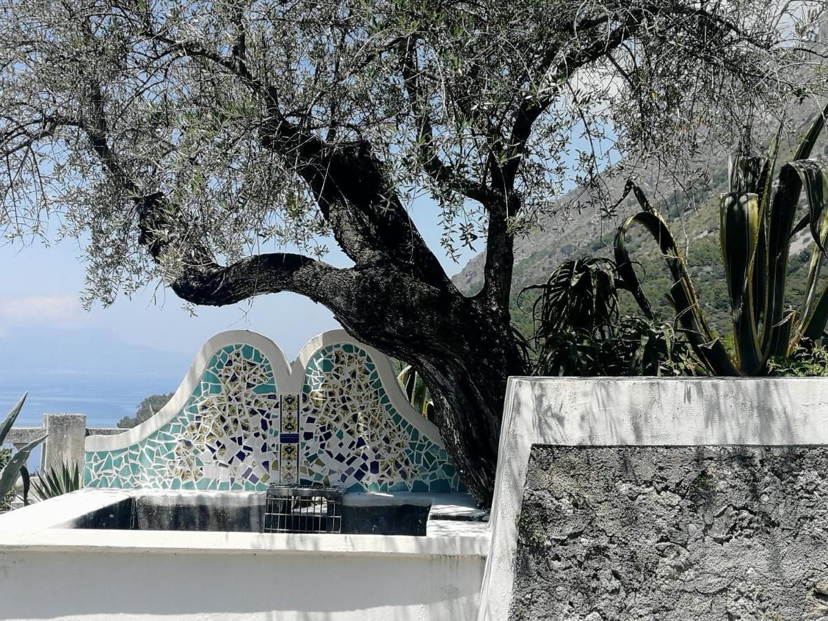 Villa Venezuela 1° Piano Maratea Εξωτερικό φωτογραφία