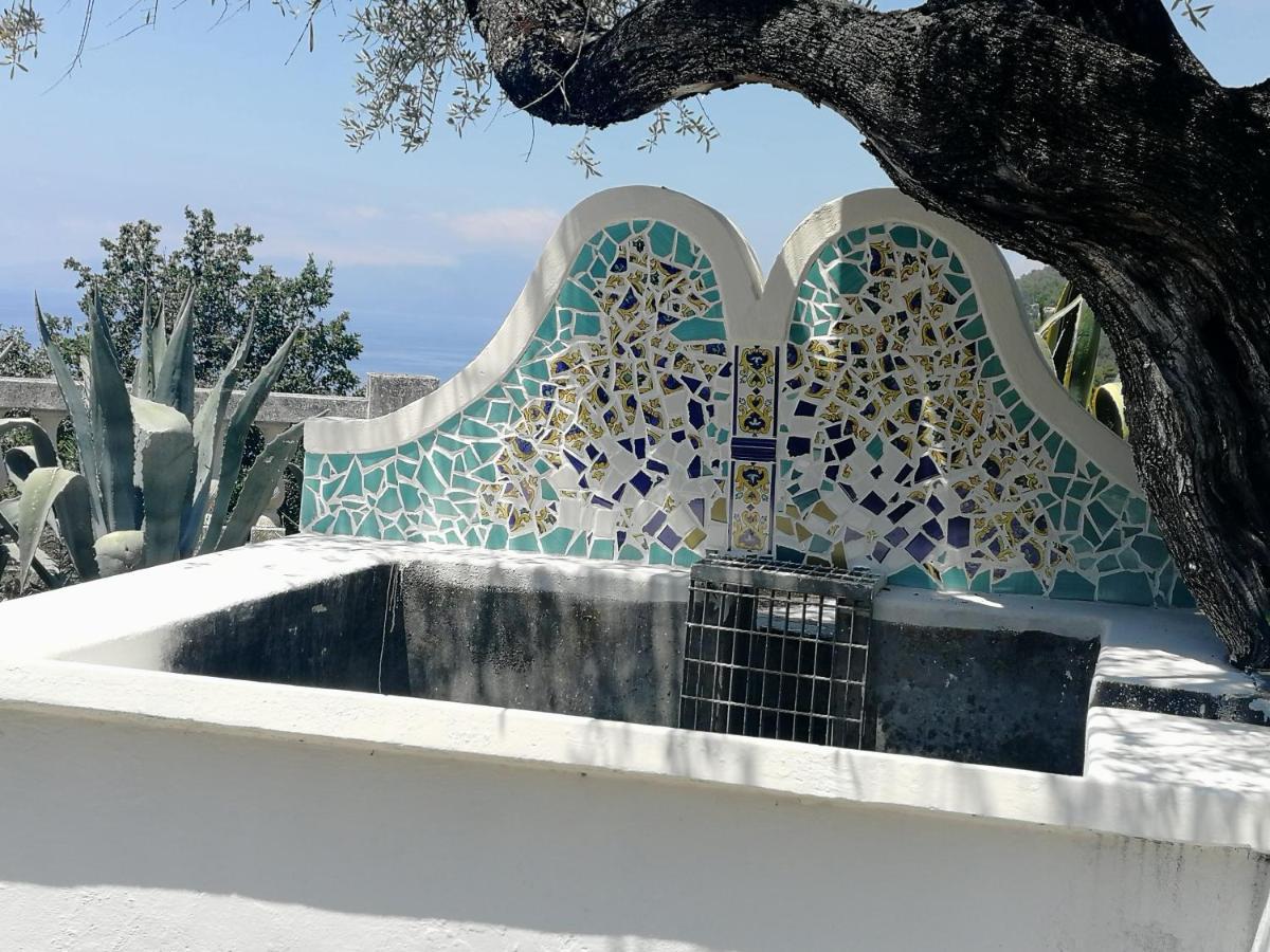 Villa Venezuela 1° Piano Maratea Εξωτερικό φωτογραφία